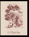 Oak Tree Acknowledgment