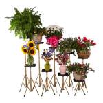 Display Stands (Set of 9)