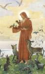 St. Francis In Nature Prayer Cards St. Francis In Nature Prayer Cards