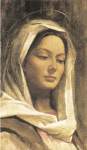 Virgin Mary Assorted Prayer Cards Virgin Mary Assorted Prayer Cards