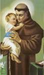 St. Anthony Prayer Cards St. Anthony Prayer Cards