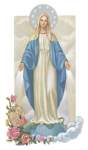 Miraculous Medal Prayer Cards Miraculous Medal Prayer Cards