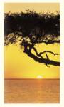 Sunset Prayer Cards Sunset Prayer Cards