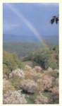 Rainbow Prayer Cards Rainbow Prayer Cards