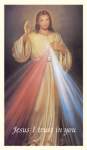 Divine Mercy Prayer Cards Divine Mercy Prayer Cards