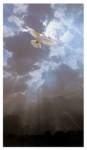 Dove Prayer Cards Dove Prayer Cards