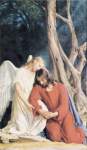 Agony in the Garden Prayer Cards Agony in the Garden Prayer Cards